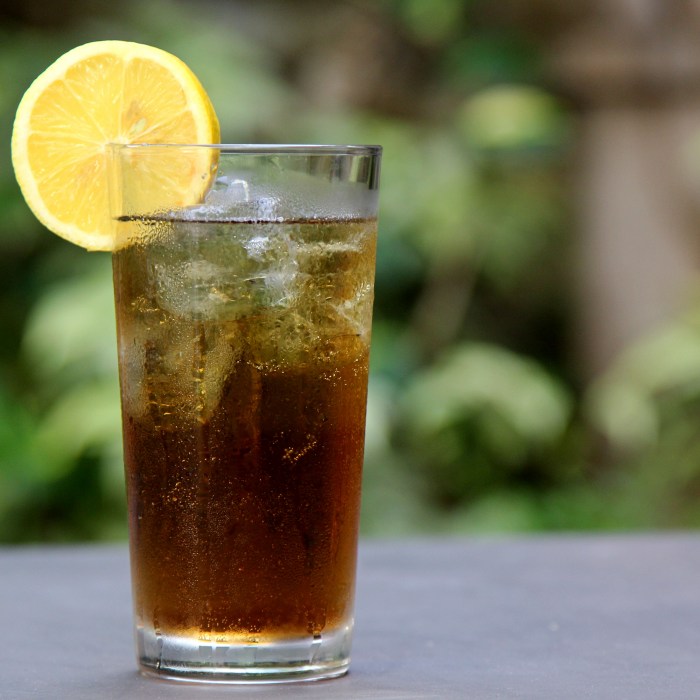 3-Mile Long Island Iced Tea — drinks
