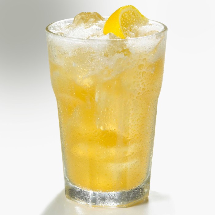 Absolut Summertime — drinks