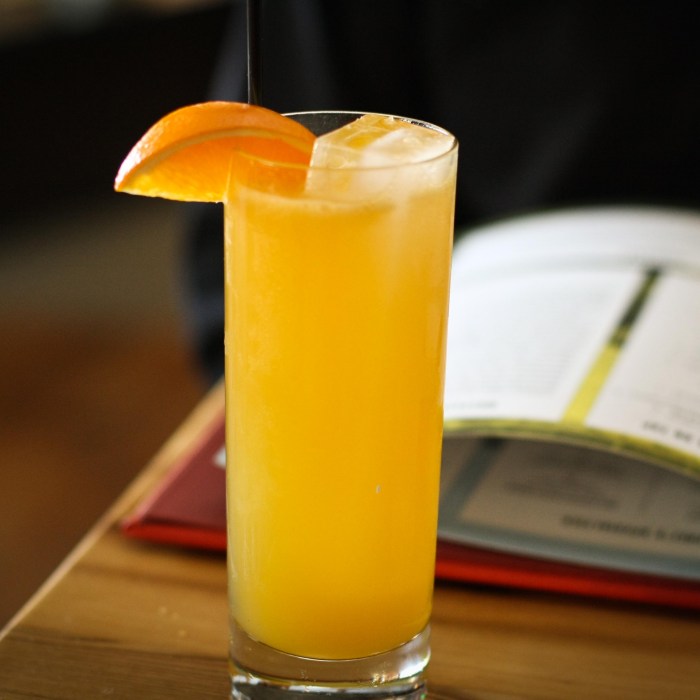 Absolutly Screwed Up — drinks