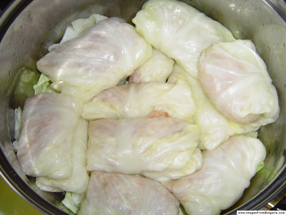 Cabbage Rolls in Yogurt Sauce (Sarmi) — world recipes