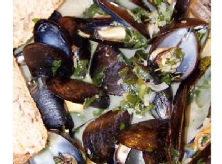 Classic French Mussels — antipasti