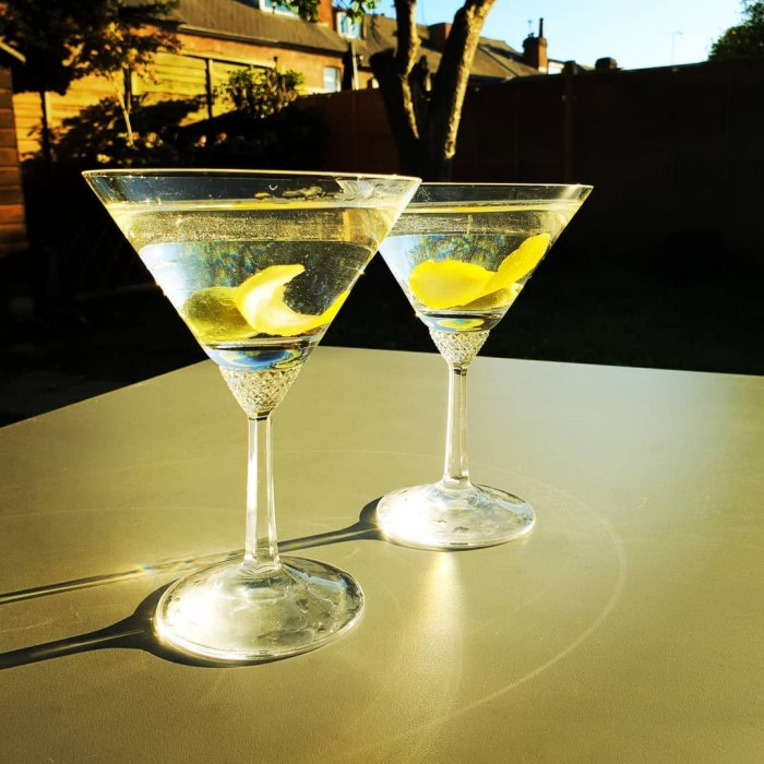 Dry Martini — drinks