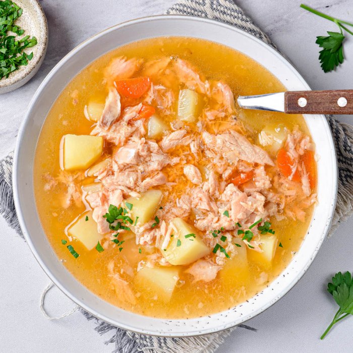 Fish Soup (Ukha) — a Russia dish