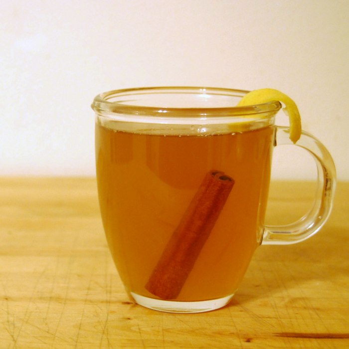 Hot Toddy — drinks