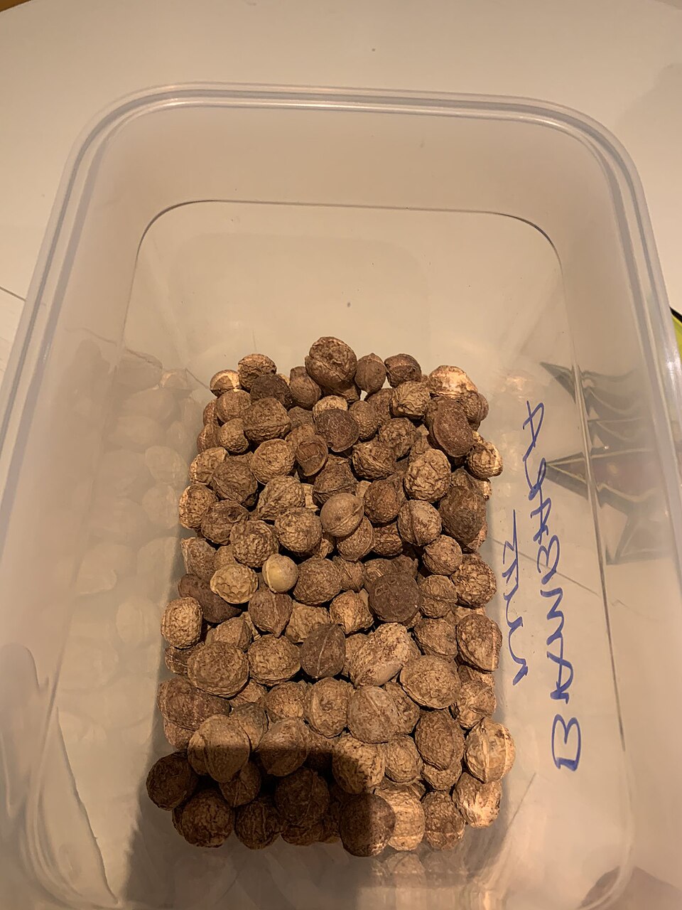 Igbouh Ahi (Nigerian Roasted Bambara Nuts) — world recipes