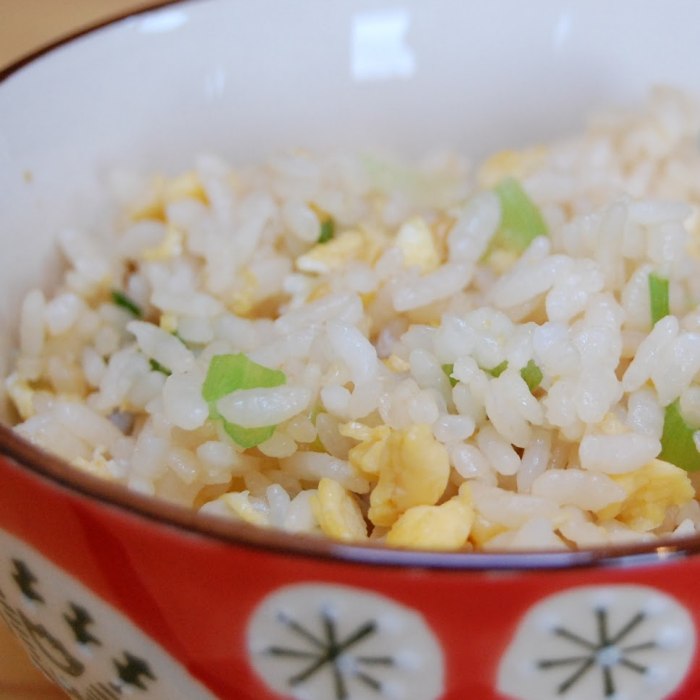 Japanese gohan rice — a Japan dish