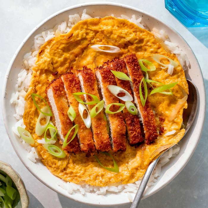 Japanese Katsudon — a Japan dish