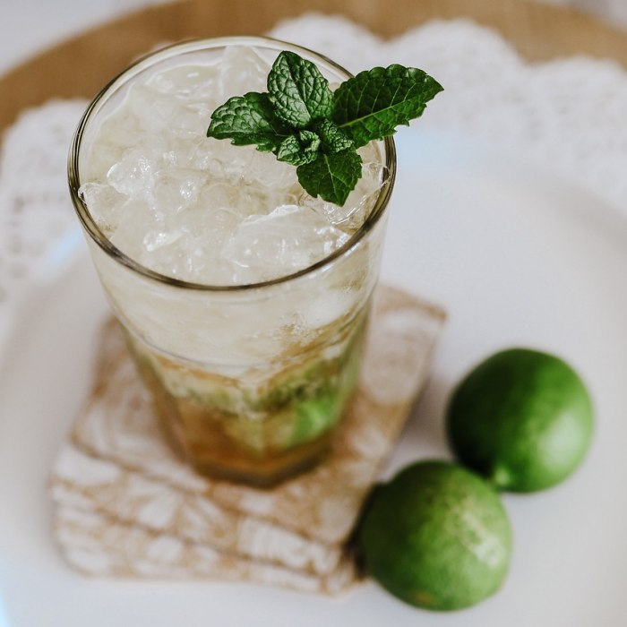 Mojito — drinks