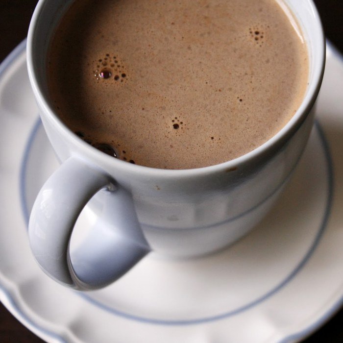 Nuked Hot Chocolate — drinks