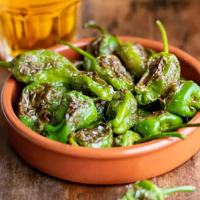 Padron peppers — a Spain dish