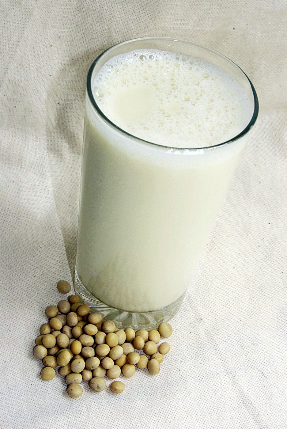 Soy Milk I — world recipes