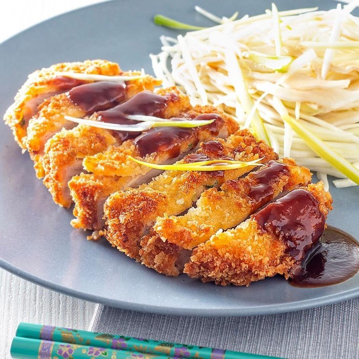 Tonkatsu pork — a Japan dish