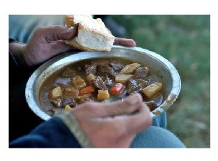 Venison Stew — lunch
